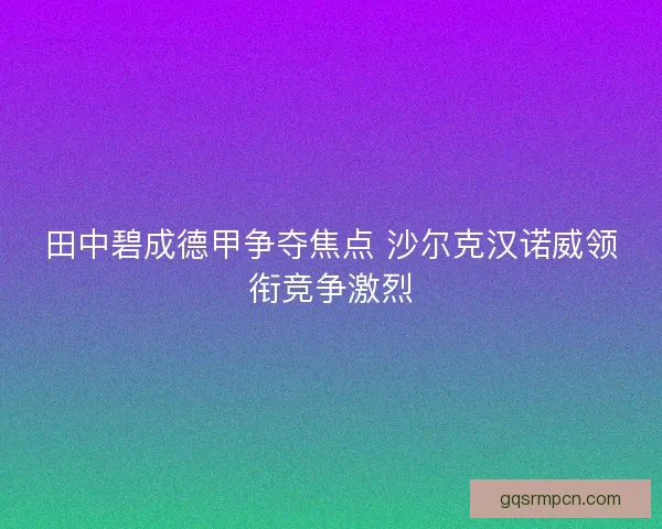 田中碧成德甲争夺焦点 沙尔克汉诺威领衔竞争激烈